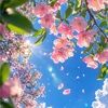 deborah_oh808
